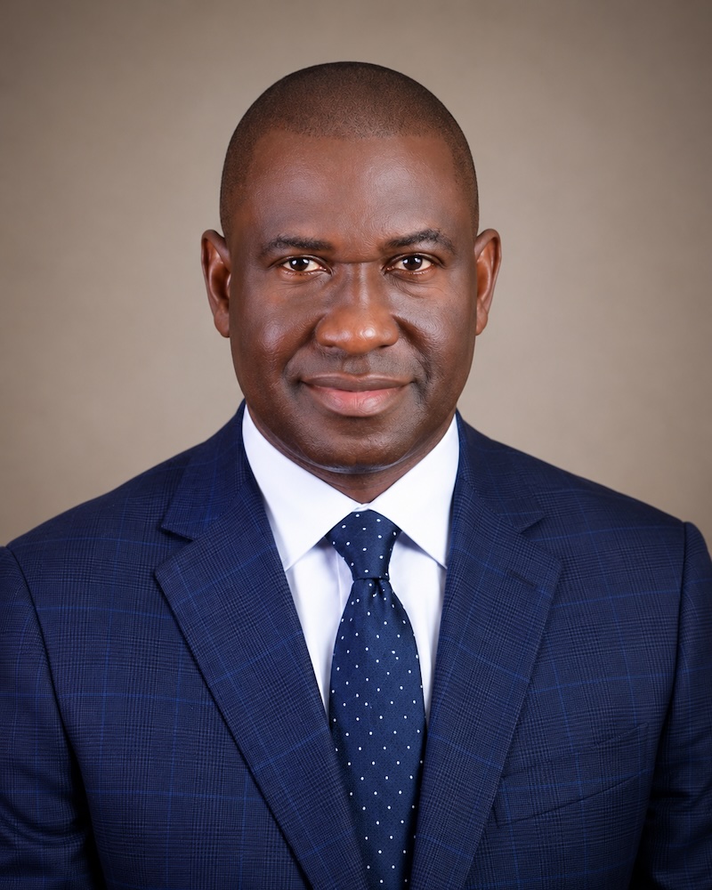 Portrait of Sir Bright Ekweremadu