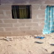  Ali Garba transforms his household in Damaturu LGA
